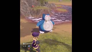 Catching Alpha Snorlax in Pokemon Legends Arceus [upl. by Adnorat]