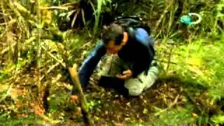 Man vs Wild Rainwater Fountain [upl. by Adalard]