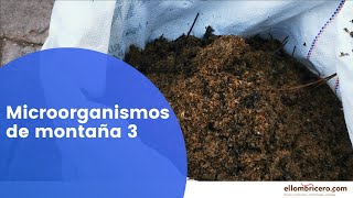 El Lombricero  Microorganismos de Montaña 3 Cosecha revisión y almacenaje 👃🔎 [upl. by Stig]