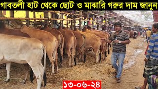 130624 গাবতলী হাট থেকে ছোট ও মাঝারি সাইজের গরুর দাম জানুন 2024 Gabtoli gorur haat [upl. by Mortensen]