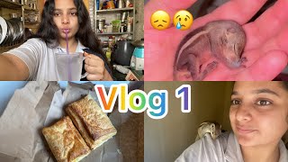 Dil Se Daily Sakina s Vlog [upl. by Ritter]