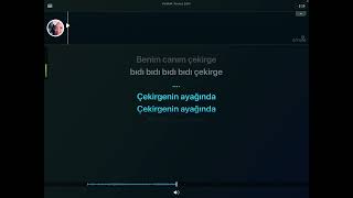 Çekirge Oğuz Yılmaz karaoke [upl. by Peggy]