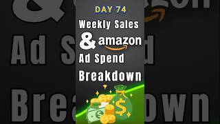 How Much Profit Did I Make from This Week’s Ad Spend Full Breakdown  Day 74 [upl. by Lednik291]