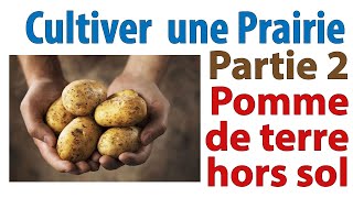 Cultiver la pomme de terre sous paille en permaculture  Cultiver une prairie sans labour 2 [upl. by Caravette]