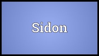 Sidon Meaning [upl. by Laverna949]