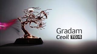 Gradam Ceoil TG4  Ticéid amp Ghradamóirí  422018  TG4 [upl. by Ycaj]