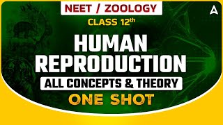 HUMAN REPRODUCTION CLASS 12 ONE SHOT  NEET 2024  ALL CONCEPTS amp THEORY  ZOOLOGY SANKALP BHARAT [upl. by Wamsley]