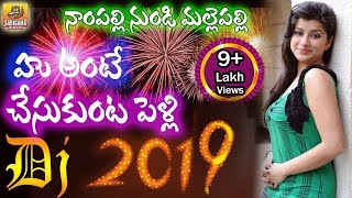 Nampally Nundi Mallepally Dj Song  2024 Dj Songs  Private Folk Dj Songs  Telangana Folk Dj Songs [upl. by Rhys898]