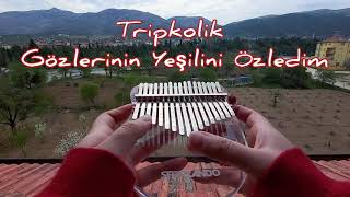 TripkolikGözlerinin Yeşilini Özledim kalimba cover [upl. by Vasilis490]