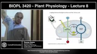 BIOPL3420  Plant Physiology  Lecture 8 [upl. by Maleki]