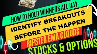 Ripsters Strategies for Consistent Wins Market Breakout and Nvidia Mega Winner [upl. by Nedrud403]