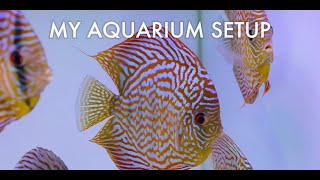 My Aquarium Setup3ft Tank [upl. by Uhthna571]