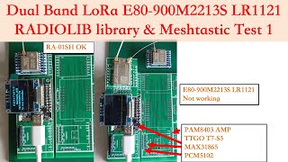 Dual Band LoRa E80900M2213S LR1121RADIOLIB library amp Meshtastic Test 1 芸庭樹工作室 [upl. by Adnole365]