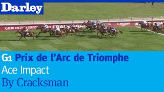 Ace Impact by Cracksman wins the G1 Prix de lArc de Triomphe at Longchamp [upl. by Onitnas]