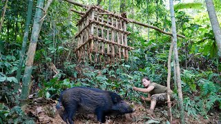 New tracks of wild boar making cages with sharp spikes to trap survival alone [upl. by Esinel222]