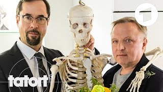 Trailer quotFeierstundequot  Der neue Tatort aus Münster  Tatort [upl. by Amoihc]