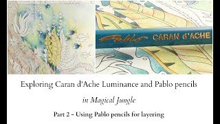 Exploring Caran dAche Luminance and Pablo pencils  part 2  Pablo pencils for layering [upl. by Eveiveneg360]