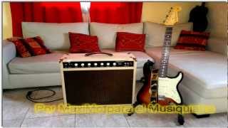 Salviani Black Soul Fender Deluxe Reverb Clone [upl. by Pieter]