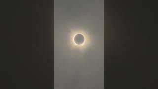 🔥Solar Eclipse Texas shorts solareclipse sciencefacts universe [upl. by Yerdna]