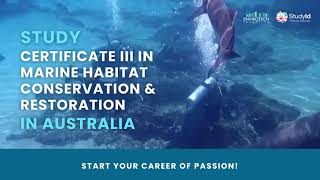 Study Certificate III in Marine Habitat Conservation and Restoration in Australia [upl. by Amerigo]