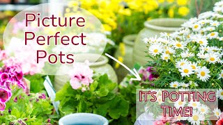 Picture Perfect Pots [upl. by Oinotla809]