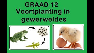 Lewenswetenskappe GR12 Voortplanting in gewerweldes [upl. by Vaden]