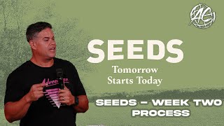 Seeds  Week Two Process [upl. by Fisch]