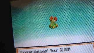 pokemon heartgold how to get bellossom and vileplume [upl. by Elahcim]