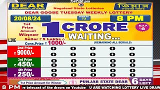 Dear Goose Tuesday Weekly Lottery 800 PM Date of Todays Live Draw 20082024 [upl. by Neelac]