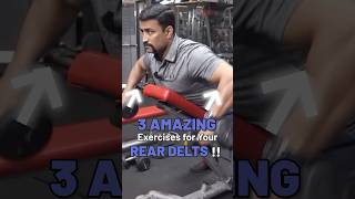 3 Amazing Exercises for Your Rear Delts  shorts [upl. by Aon]