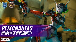 peixonautas SAATI PALADINS COMPETITIVE DIAMOND WINDOW OF OPPORTUNITY [upl. by Faucher]