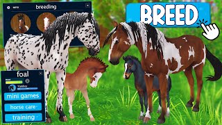 BREEDING HORSES IN STAR STABLE [upl. by Ativahs296]