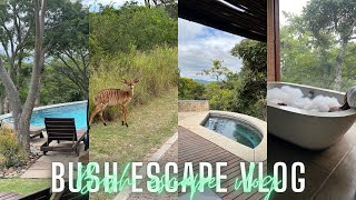 Bush Getaway VLOG  Luxury Safari Suite  Baecation  Room Tour  South African YouTuber [upl. by Wye]