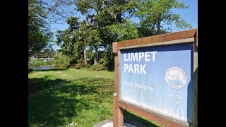 Limpet Park Ocean Shores WA 2024 [upl. by Notlehs]