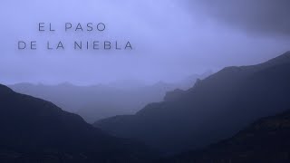 El Paso De La Niebla  Documental Bosques Patagónicos [upl. by Nola]