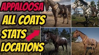 Turkoman Overview  Red Dead Redemption 2 Horses [upl. by Margot]