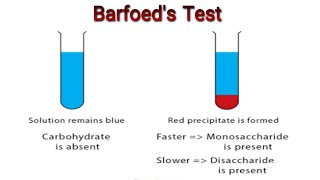 Barfoed Test to distinguish between monosaccharides and disaccharides Knowledge Academy [upl. by Alegnaed477]