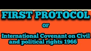 First Protocol of ICCPR 1966 [upl. by Roderick823]