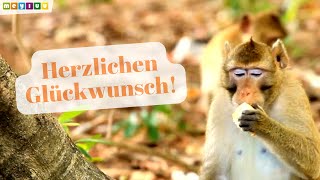 Herzlichen Glückwunsch zum Geburtstag 🎂  Tierische Geburtstagsgrüße für dich 🎵 [upl. by Aihsik]