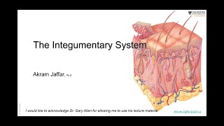 ANAT10106Integumentary system [upl. by Eloise]