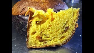 Panettone agrumi ricetta Maestro Alfonso Pepe  Primo impasto lievito madre [upl. by Anaujit44]