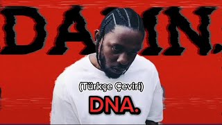 Kendrick Lamar  DNA Türkçe ÇeviriAçıklamalı [upl. by Anaz]