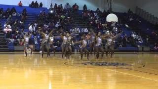 Prancing Tigerette Jamboree Battle of The BeyoncesField Show [upl. by Nedarb]