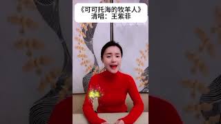 《可可托海的牧羊人》清唱： 王紫菲 翻唱 [upl. by Ardisi368]