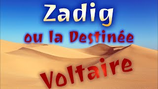 Zadig Voltaire  Chapitre 7  Les Disputes et les Audiences [upl. by Aicyla]