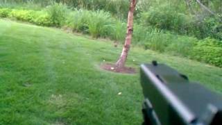 Glock 21 with Laser Sight vs Rabbits HD video [upl. by Phoebe]