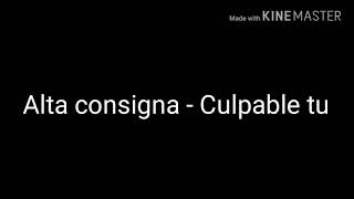 Alta consigna  Culpable tu letra [upl. by Munro]