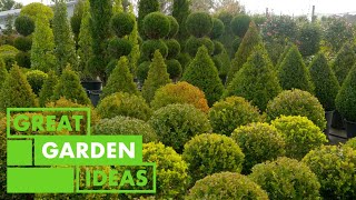 World of Topiary  GARDEN  Great Home Ideas [upl. by Anallij]