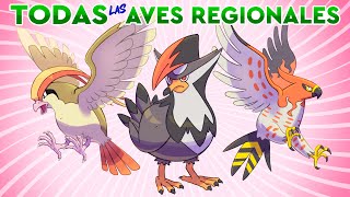 TODAS LAS AVES REGIONALES EXPLICADAS [upl. by Ahtebbat]