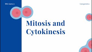 Mitosis and Cytokinesis [upl. by Gelasias]